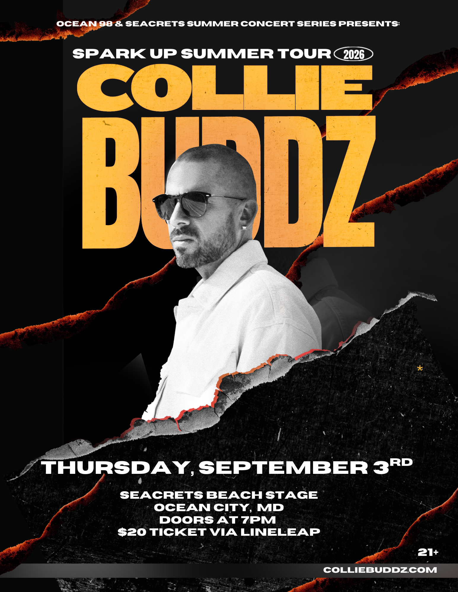 a poster for a concert with a man wearing sunglasses