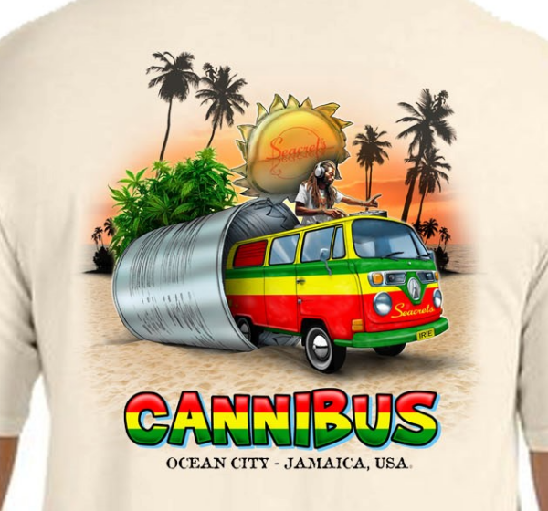 a man wearing a t - shirt with an image of a van and palm trees