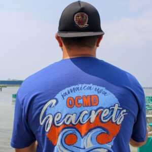 Painted Waves T-Shirt - Image 2