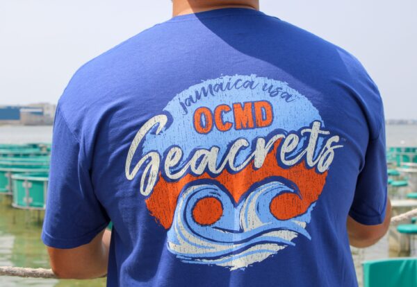 Painted Waves T-Shirt