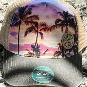 a hat with a palm tree print on it