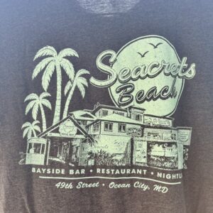 a t - shirt that has a picture of a building on it