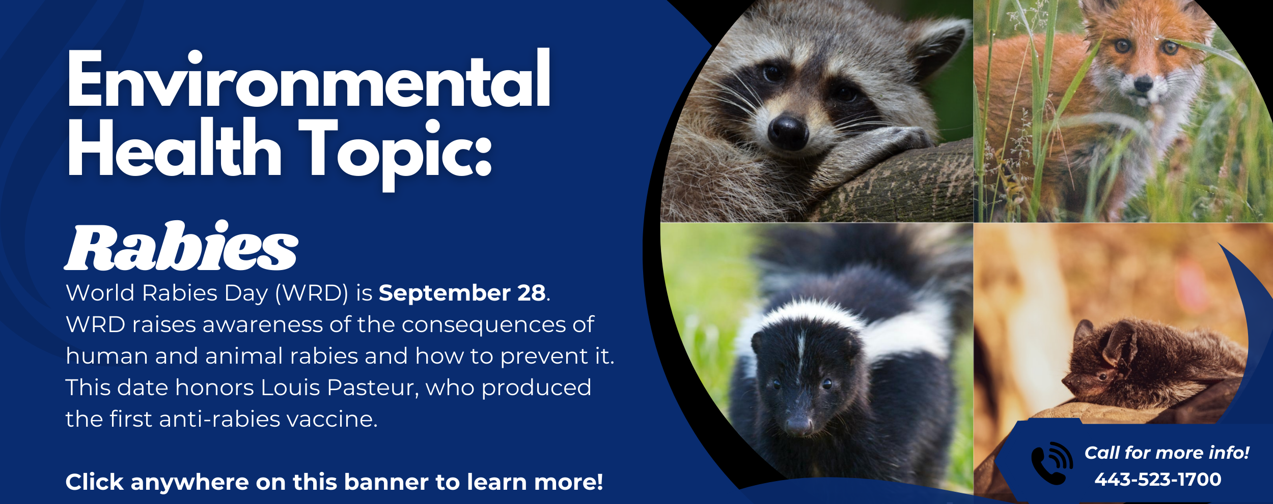 Rabies – September