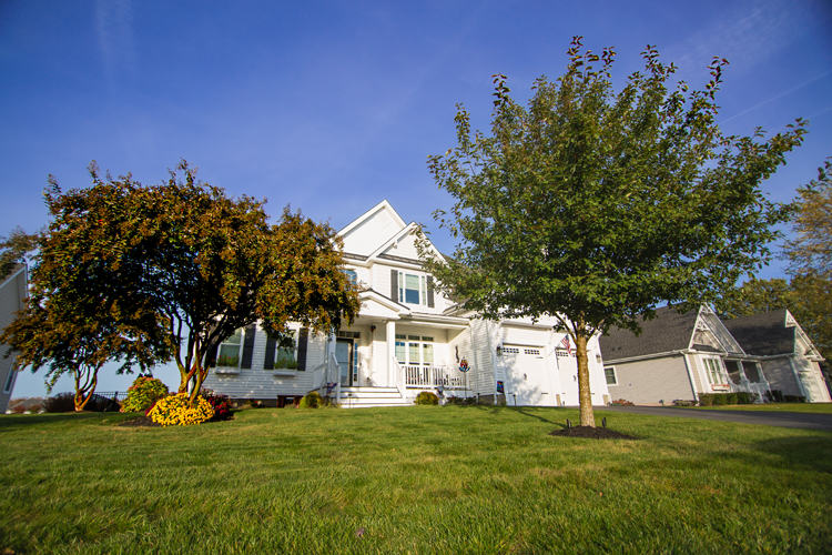 Home with professional landscaping in Berlin, MD