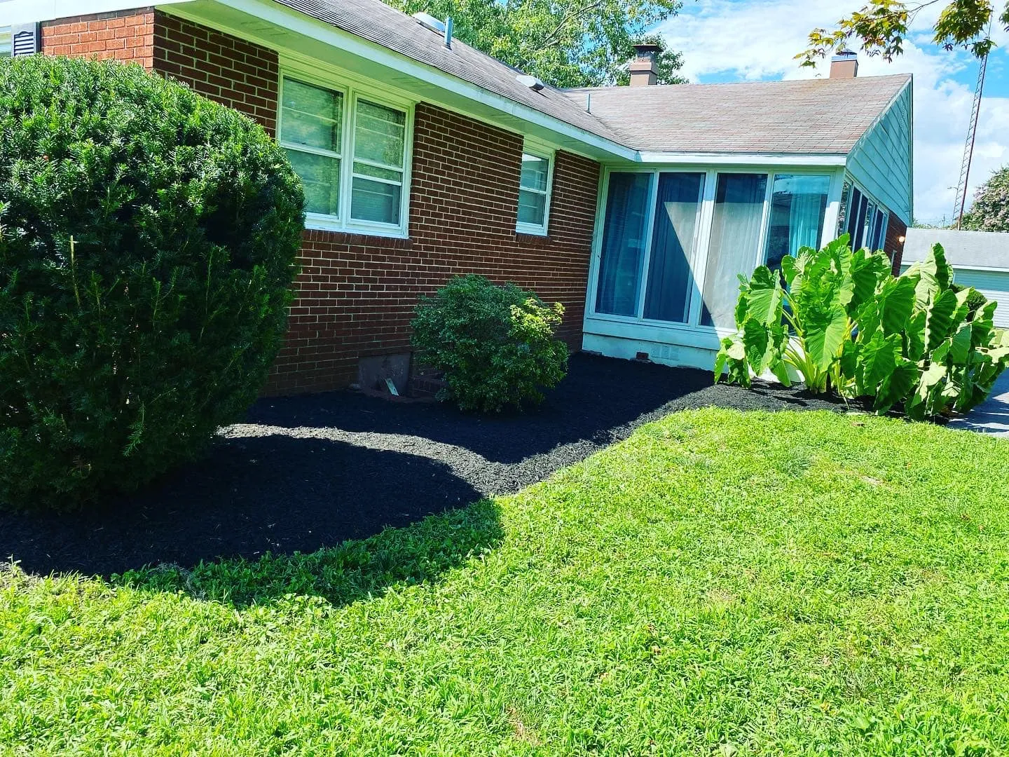 The Secret to a Lush Lawn: Aeration + Overseeding with Speake Lawncare