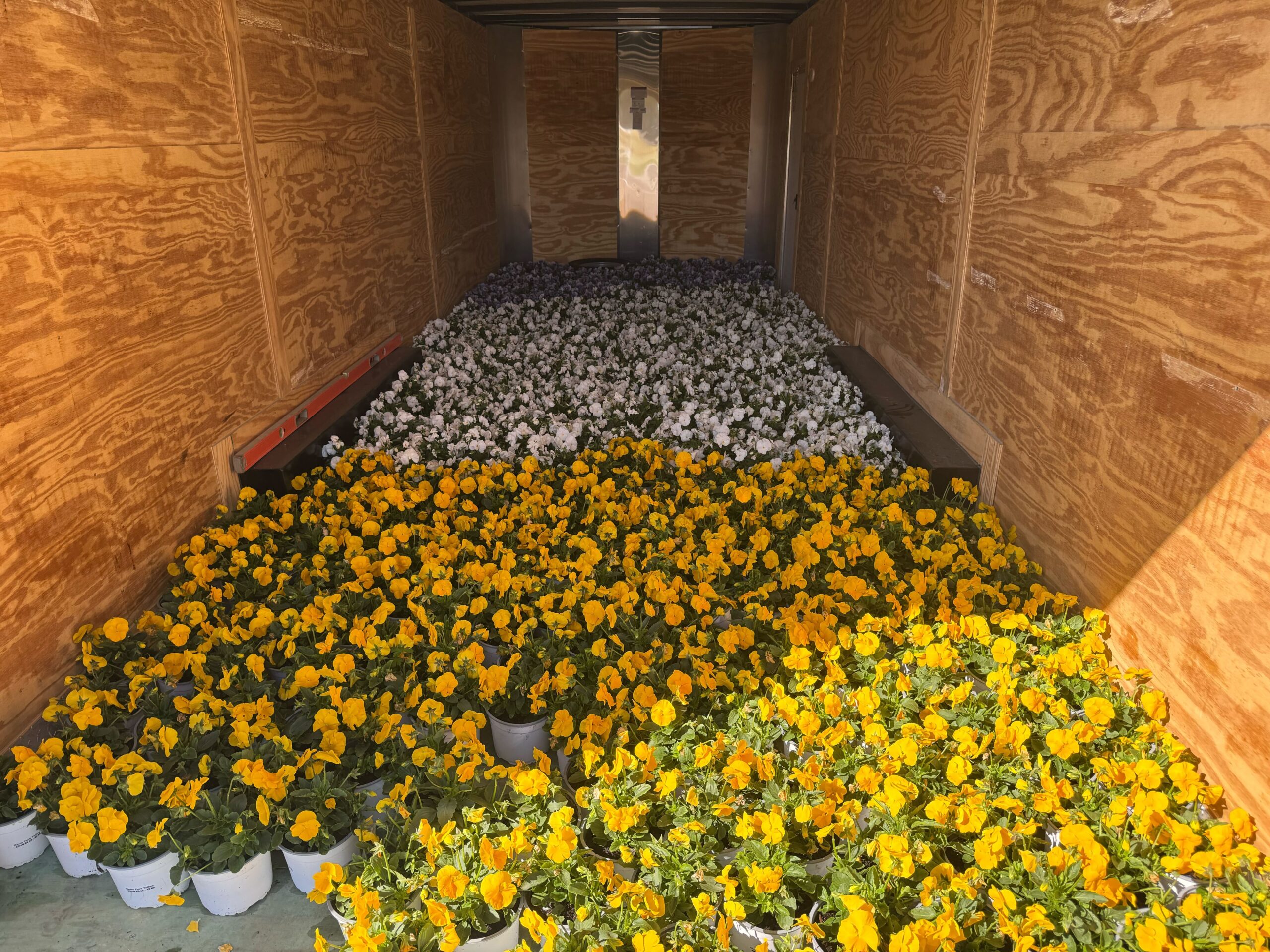 Landscape Design That Blooms: Seasonal Flower Ideas from Speake Lawncare