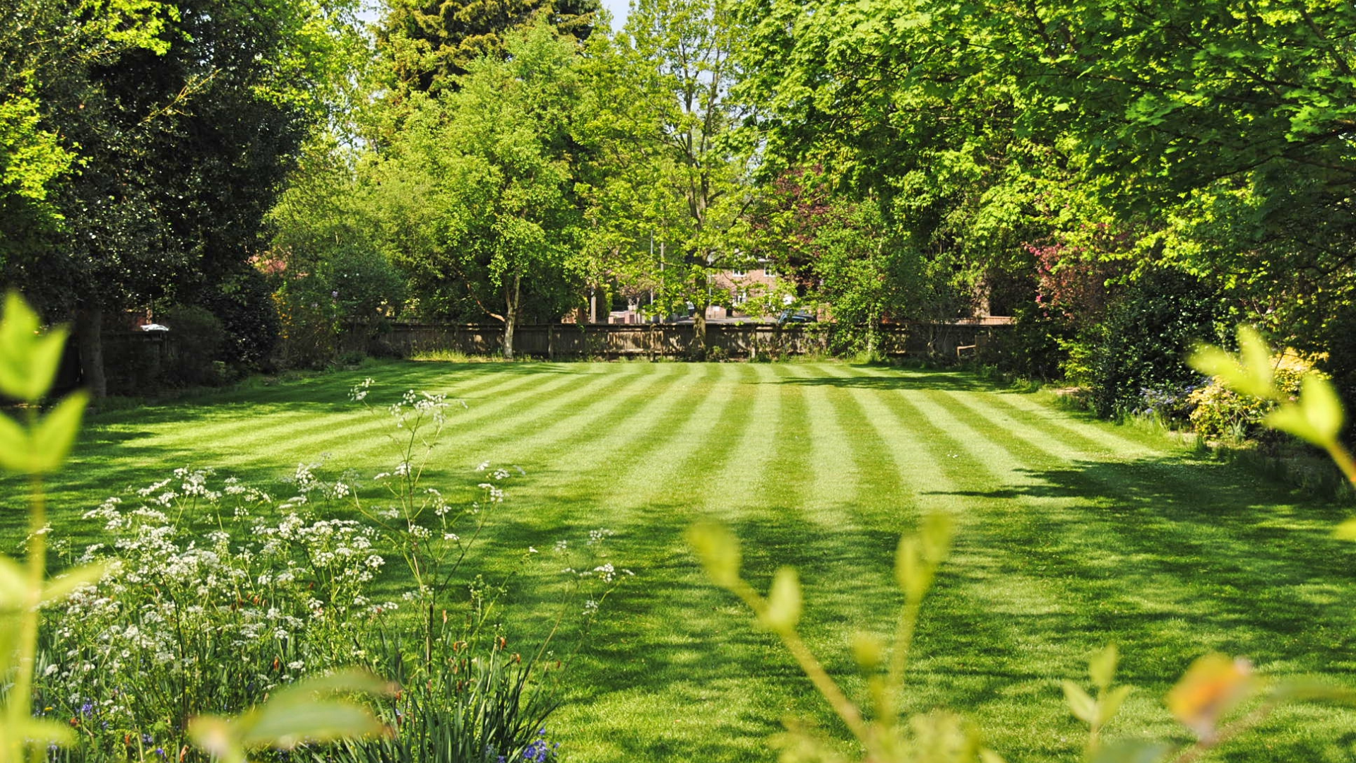 Lawn Care