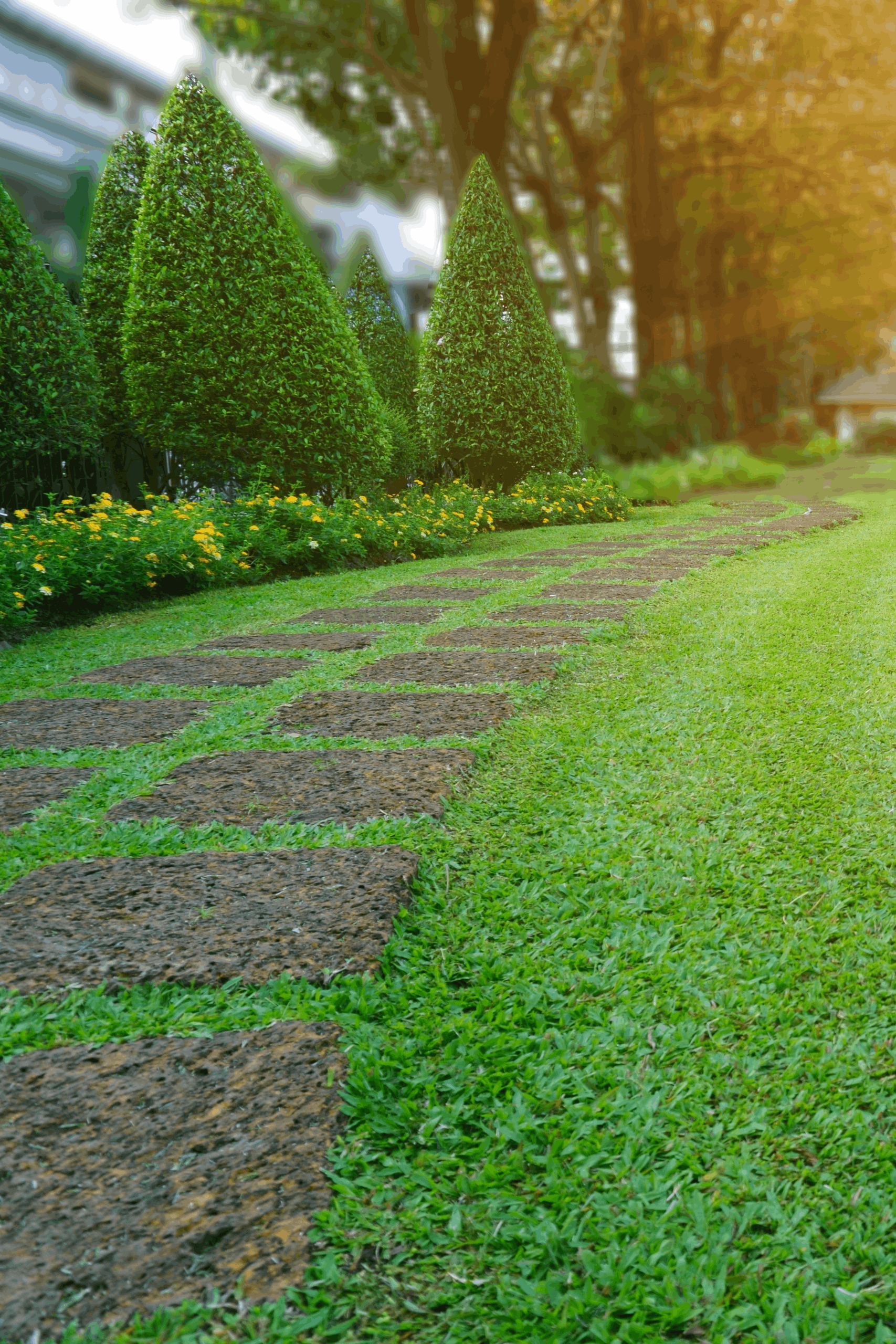 Speake lawncare yard close up