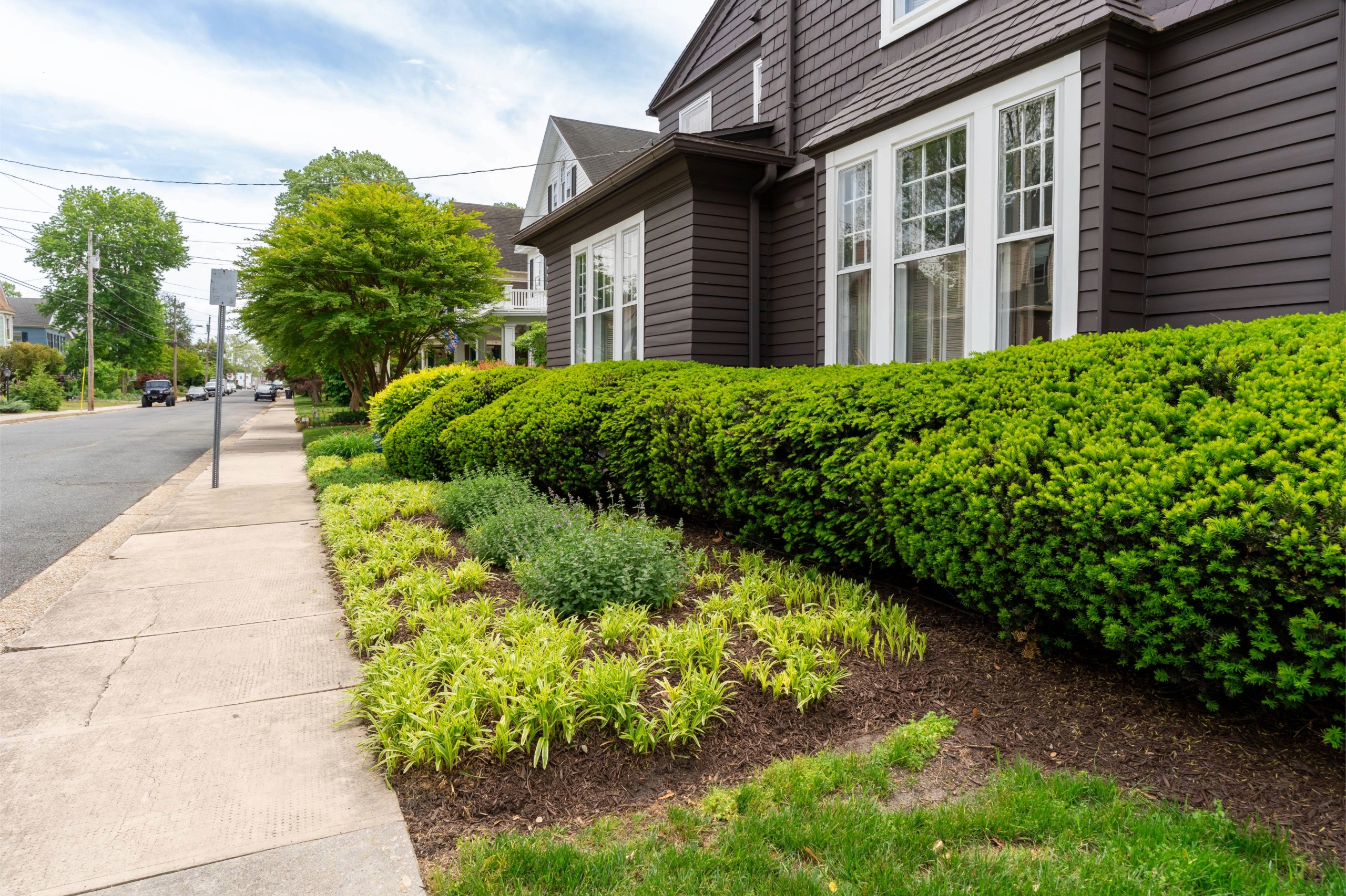 Lawn Care