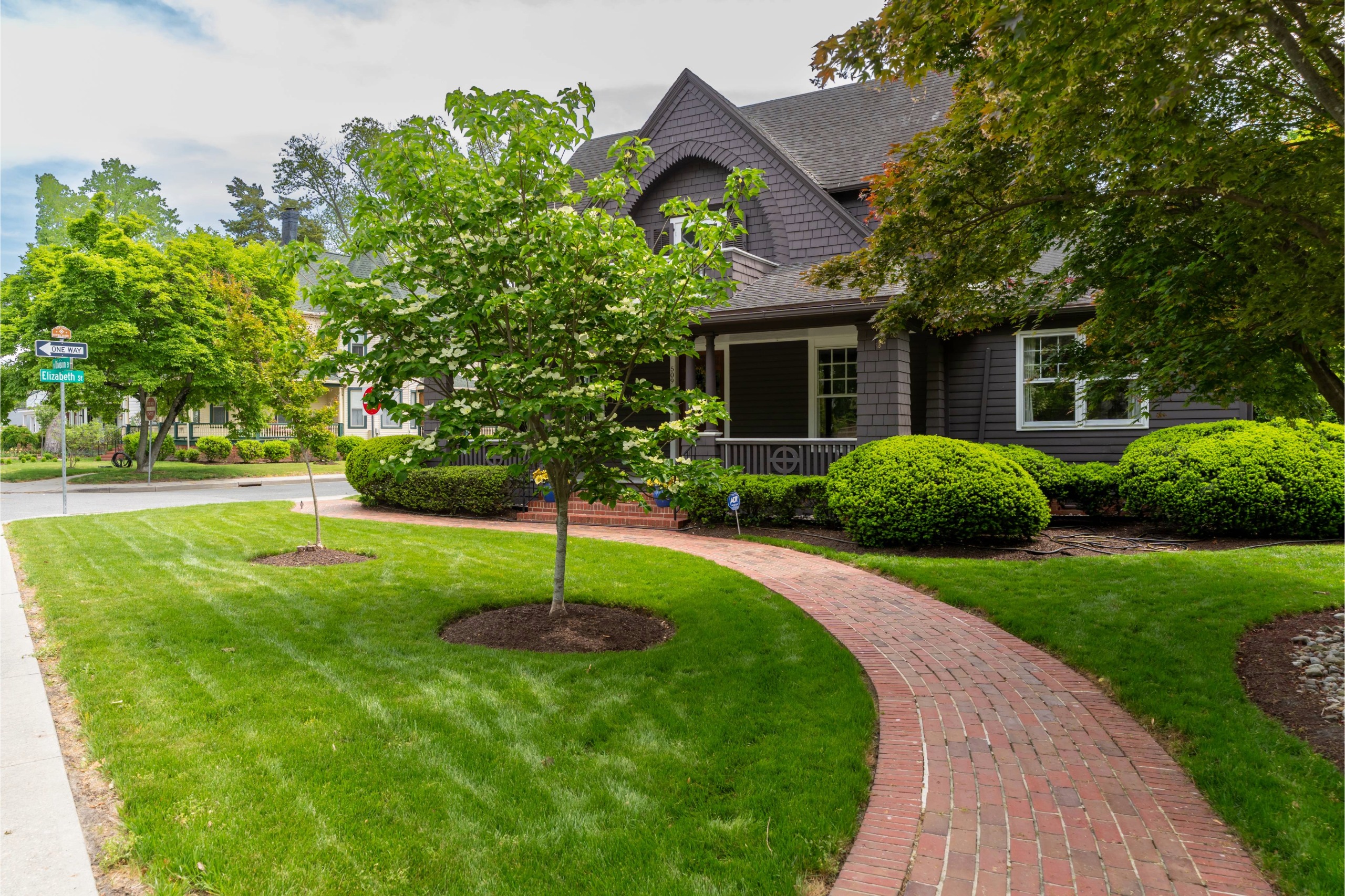 Lawn Care