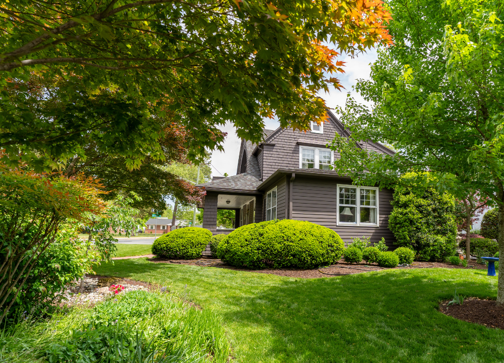 Affordable Biweekly Lawn Cutting Services Near Salisbury, MD