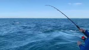 A man deep sea fishing