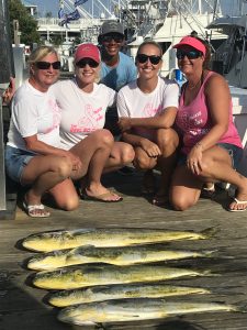 20180820B-2-scaled.jpg
