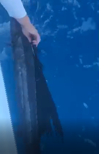 Man catching a fish