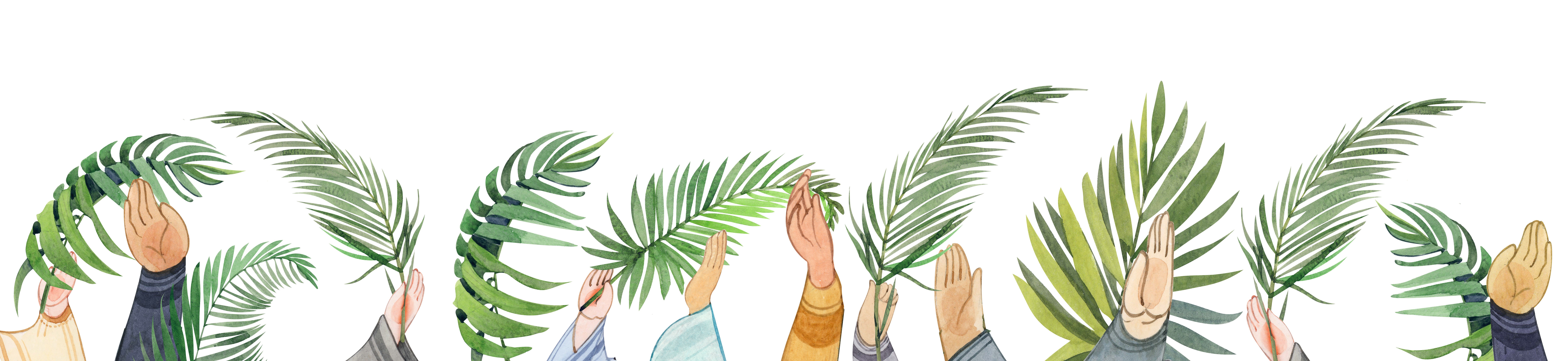 a group of palm trees with leaves on them