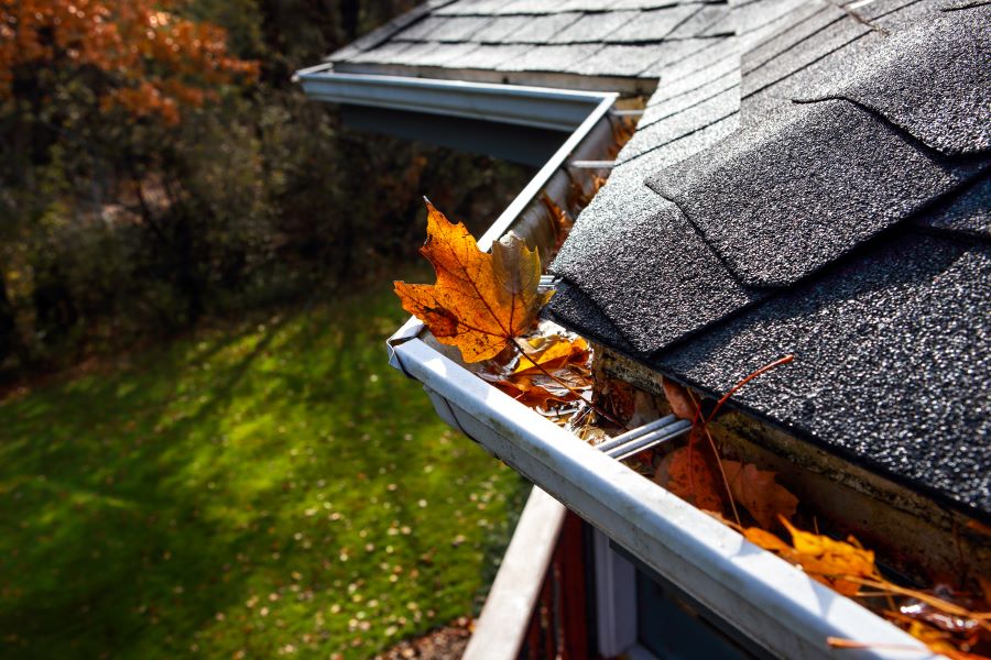gutter with leaves in it