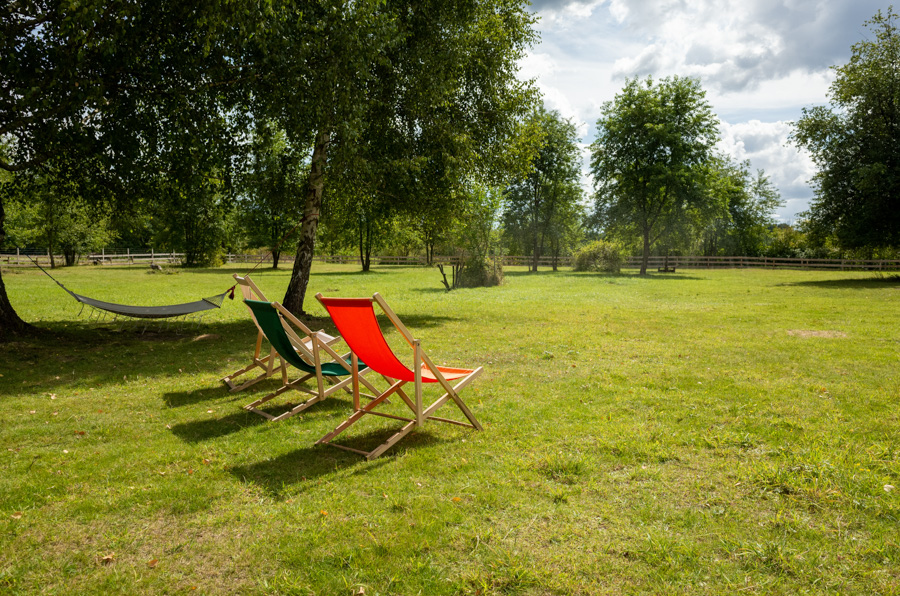 a row of lawn chairs sitting on top of a lush green field