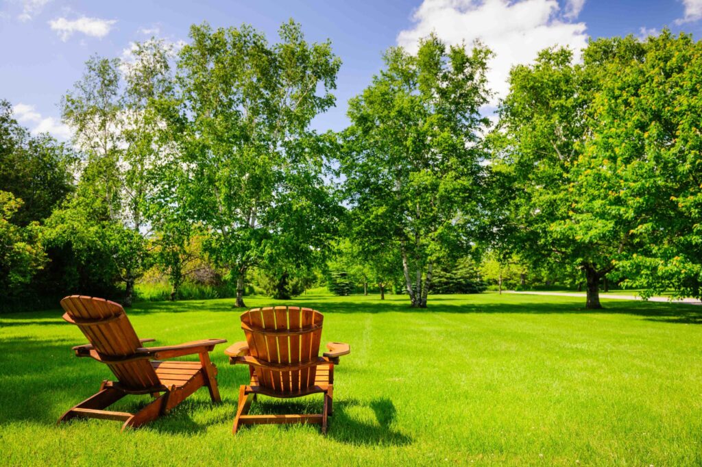 Two wooden adirondack chairs on lush green lawn with trees