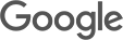 the google logo