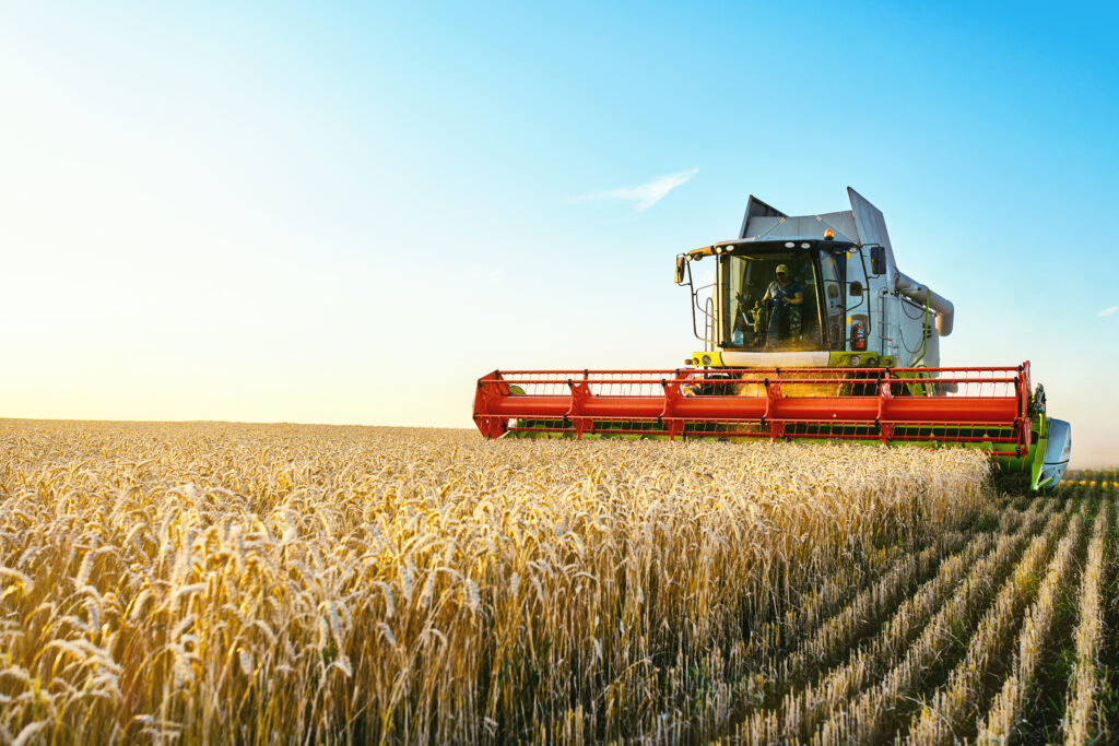 a large red combine is in the middle of a wheat field