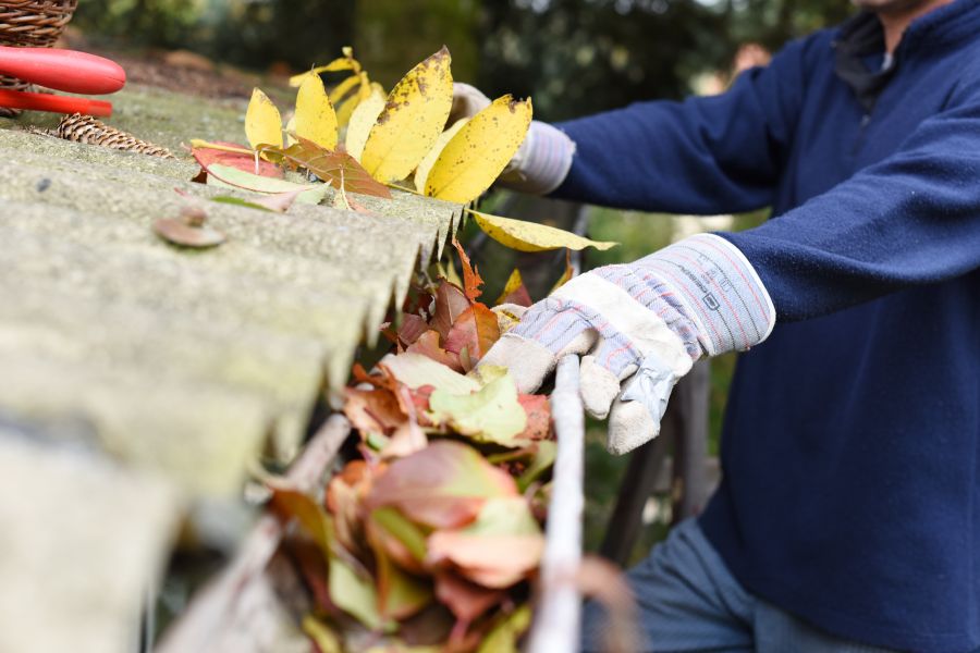 a man in a blue shirt and white gloves cleaning leaves off a wall