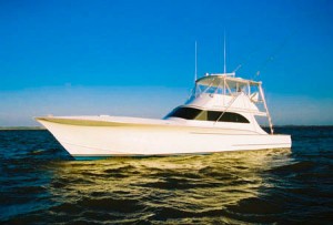 offshore fishing boat boss hog