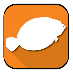 inshore logo-01