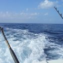 deep sea fishing