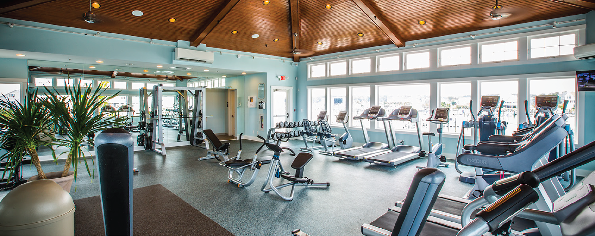 Teal Fitness/Gym Room