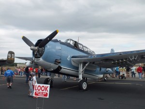 baby blue plane parked on base with crowd behind