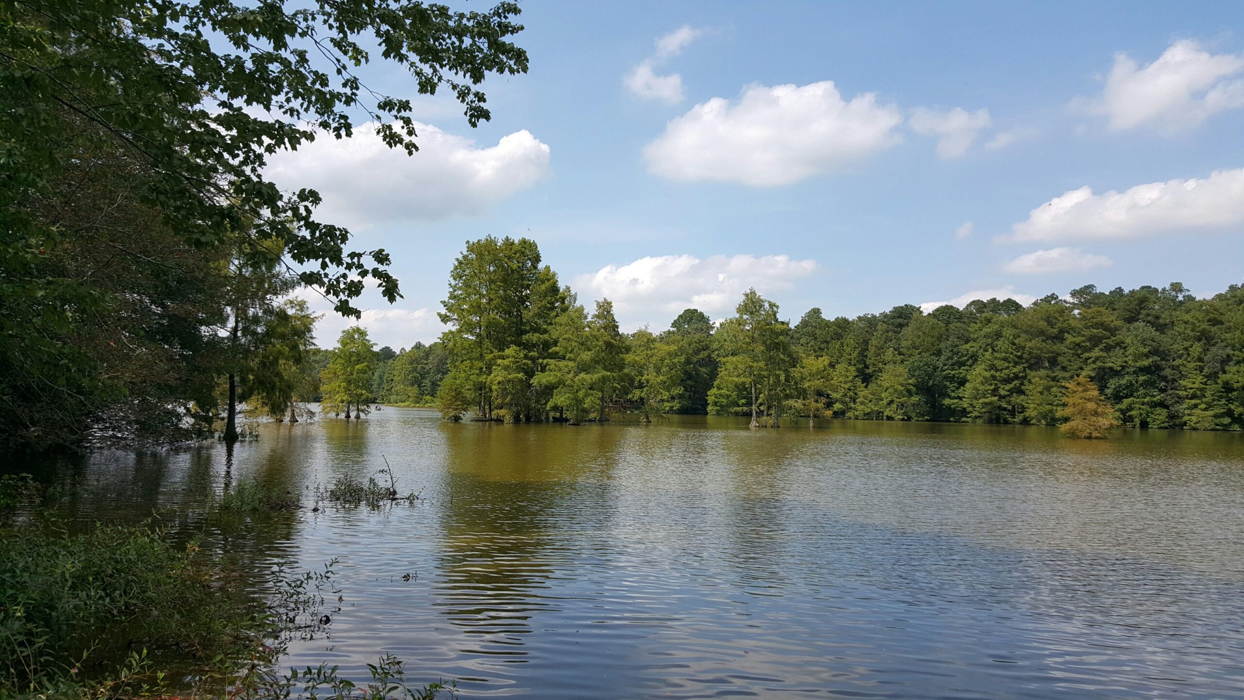 trappondstatepark-by-lynn-brocato
