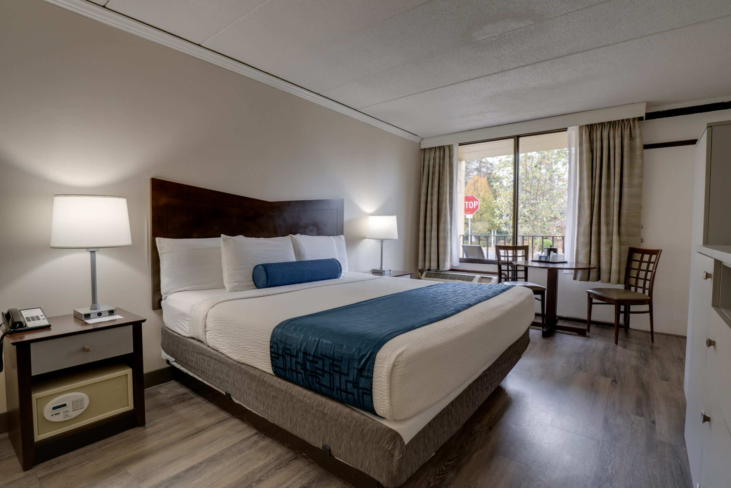 hotel room with king bed - pet-friendly
