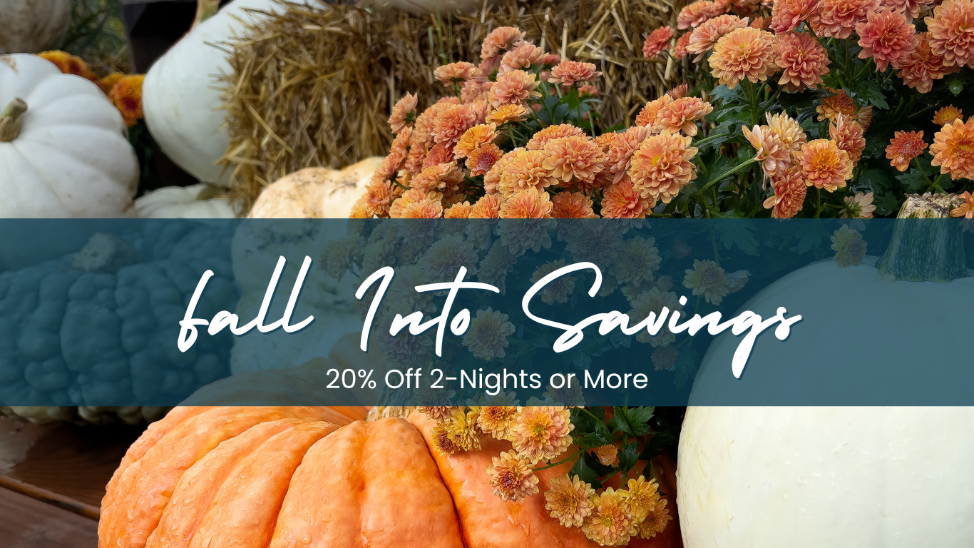 a display of pumpkins and gourds with the words fall into savings