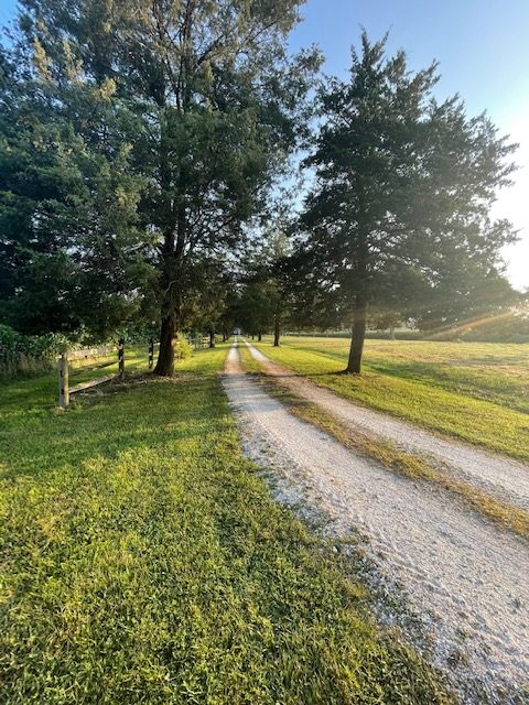 a dirt road in the middle of a grassy field