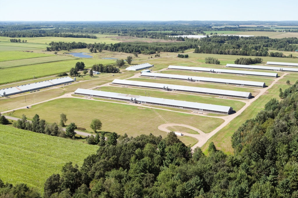 an aerial view of a farm with a lot of trees