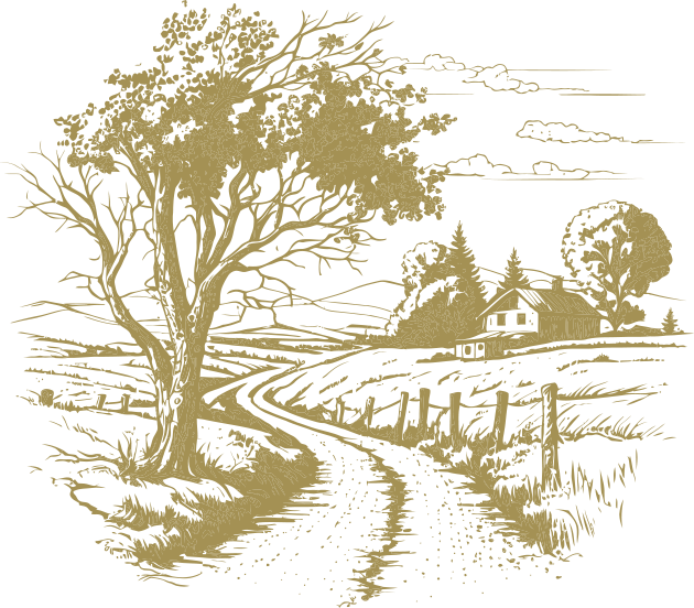 a drawing of a country road with a tree
