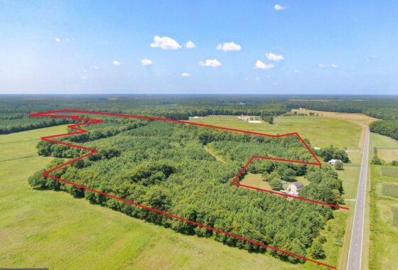 an aerial view of a large field with lots of trees