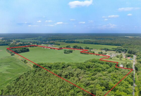 an aerial view of a wooded area with lots of trees