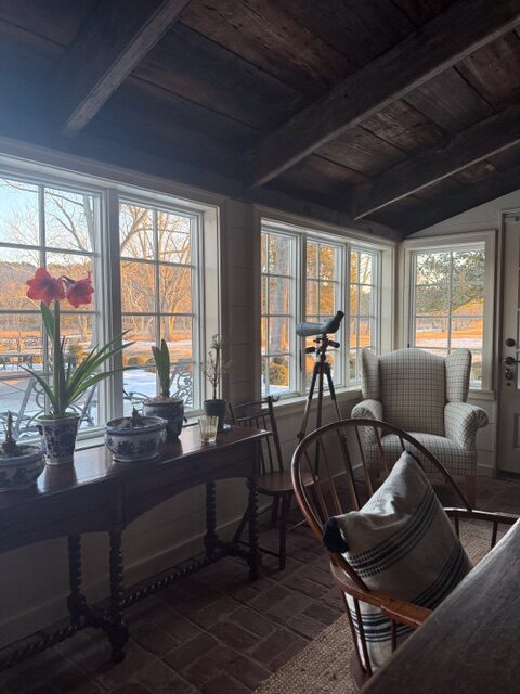 a room with a lot of windows and chairs