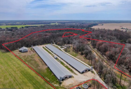 an aerial view of a farm with lots of trees