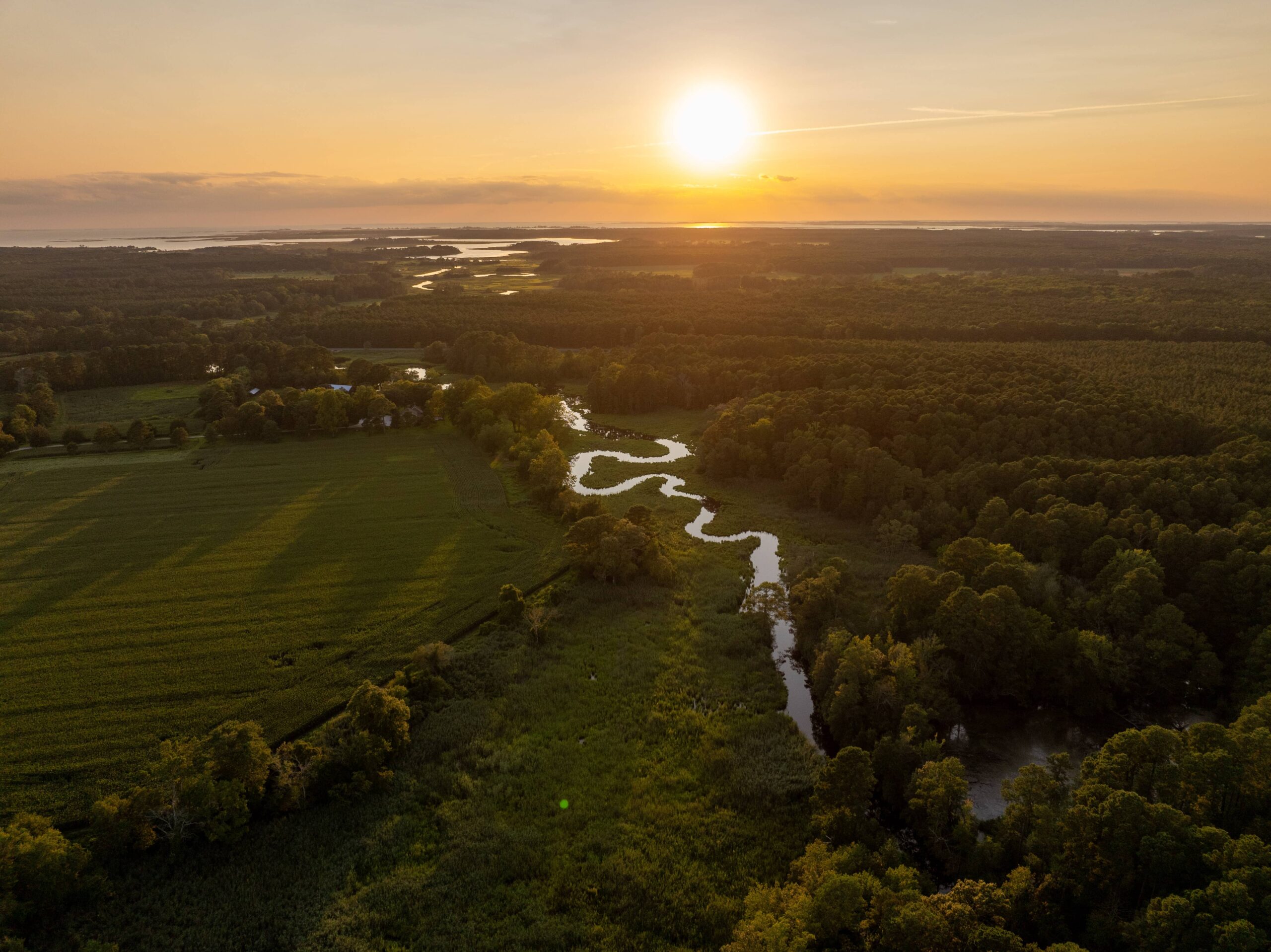 the sun is setting over a river in the middle of a field
