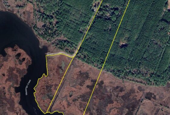 an aerial view of a lake and land