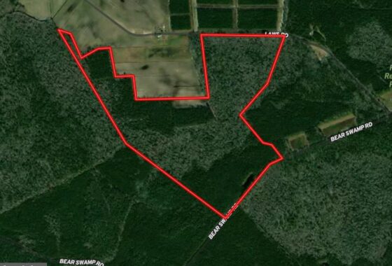 a map of a wooded area with a red line