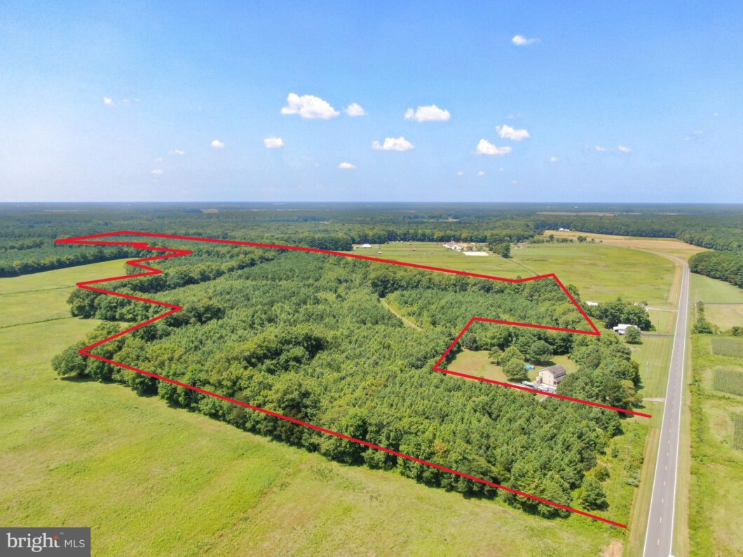 an aerial view of a large field with lots of trees