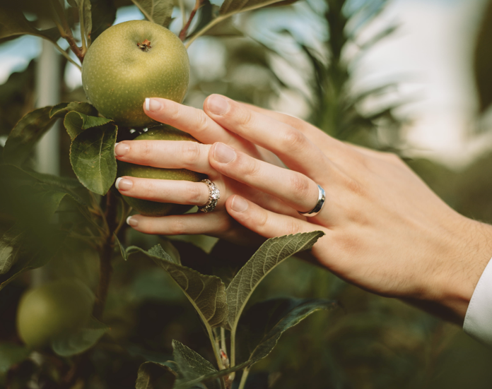 Thousand Acre Farm Wedding & Event Venue photo 27