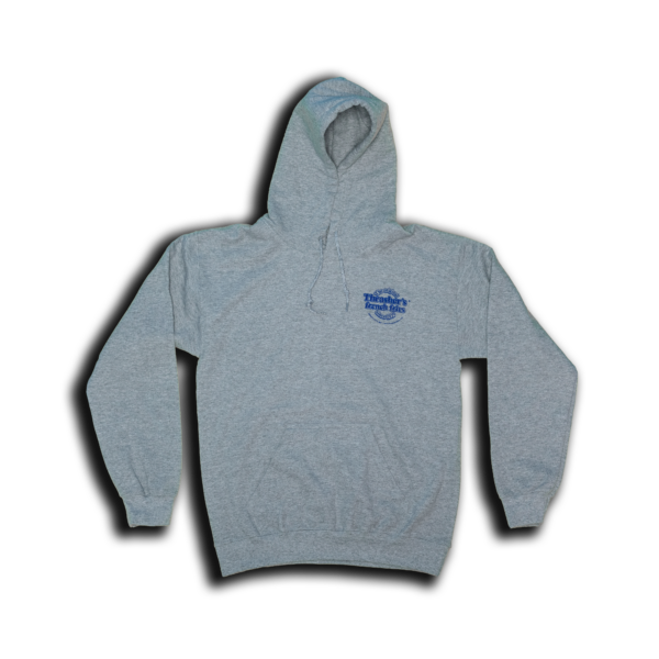 Youth Hoodie with Original Logo