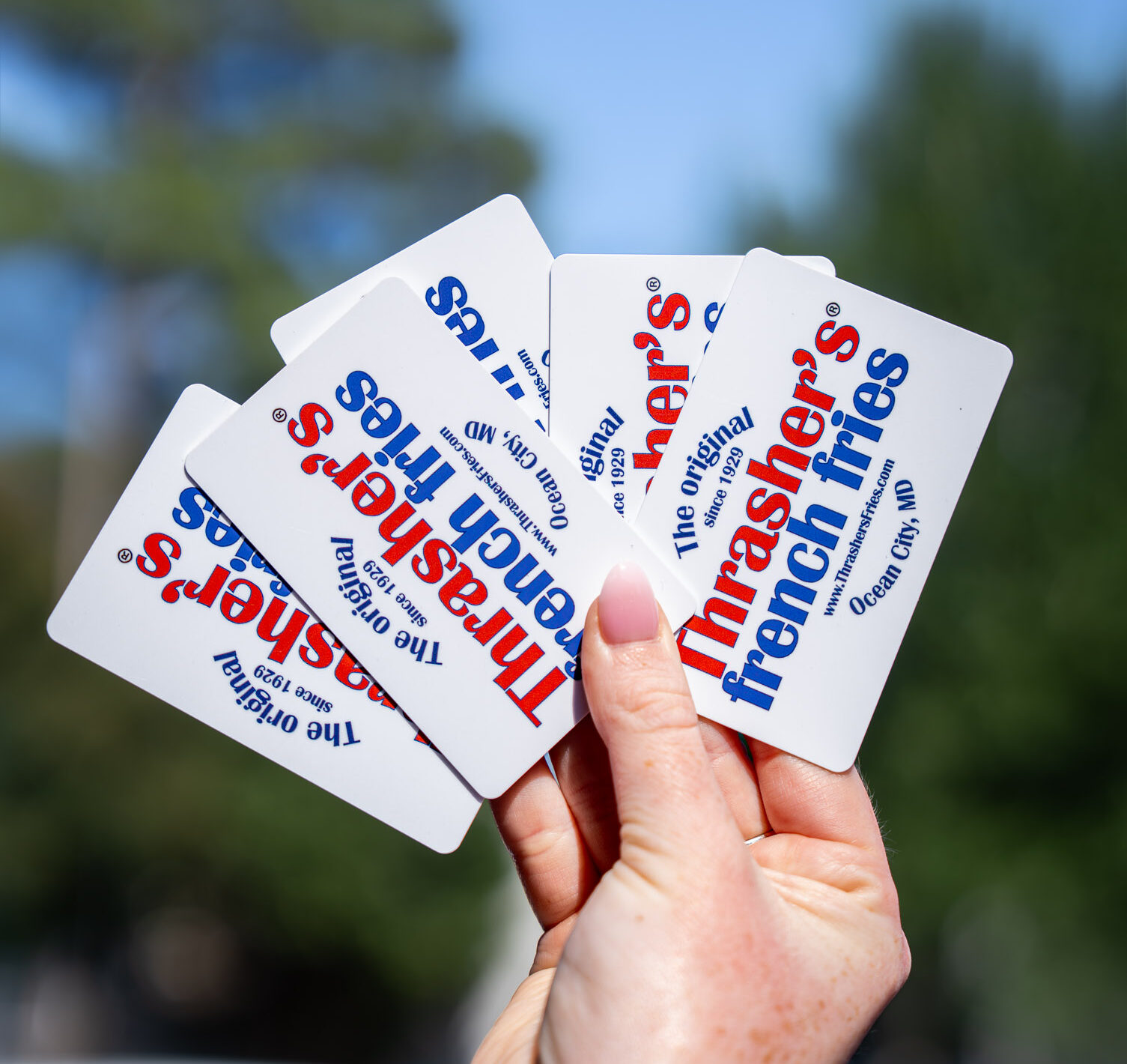 A hand holding up thrashers gift cards.
