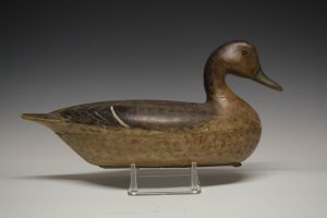 2018 50 finest exhibit