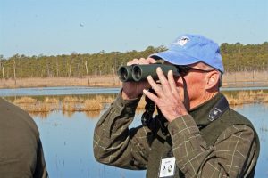 BirdingOnEasternShore