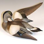 wardwidgeon.jpg